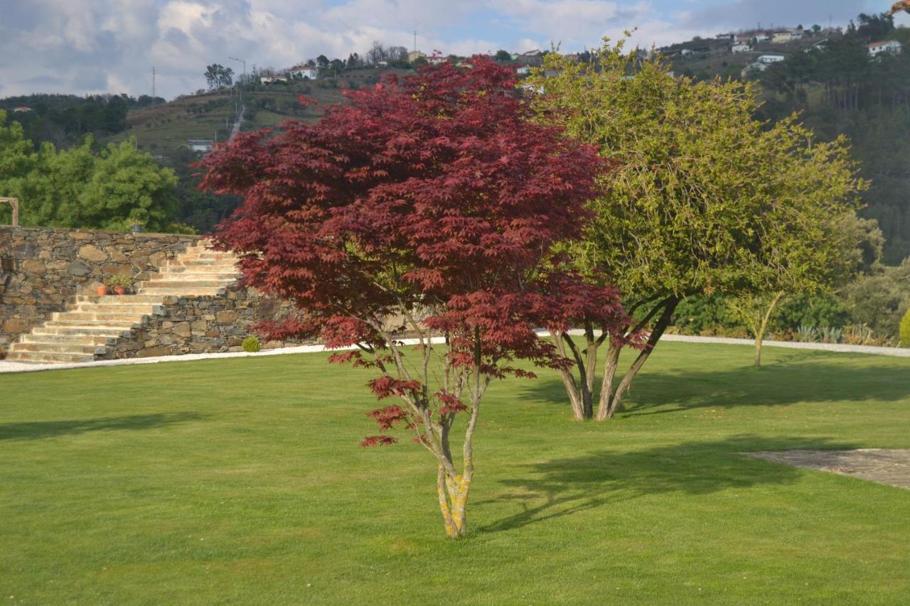 Quinta Da Portelada 페소다레과 외부 사진