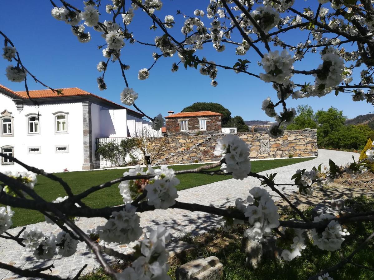 Quinta Da Portelada 페소다레과 외부 사진