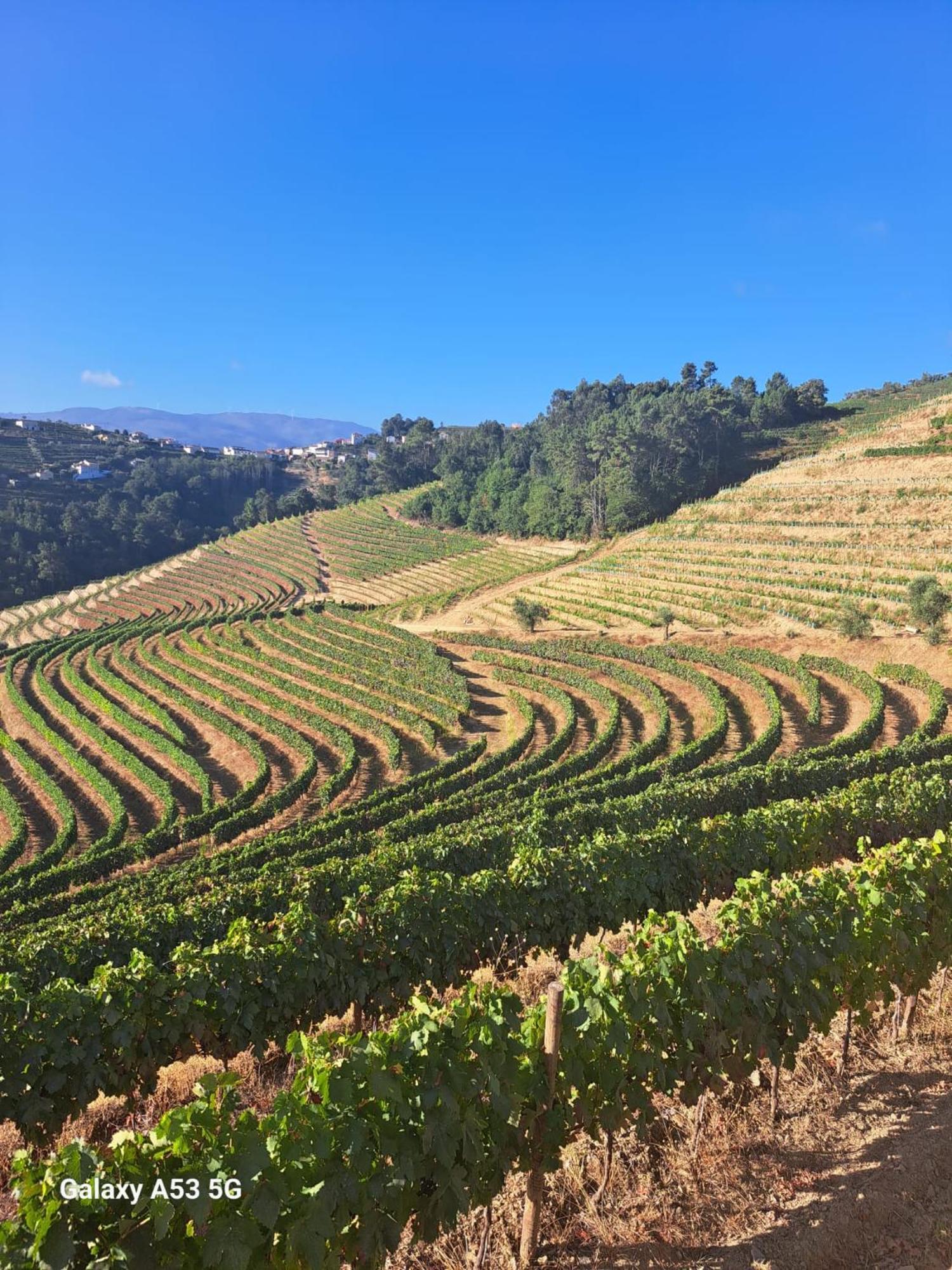 Quinta Da Portelada 페소다레과 외부 사진