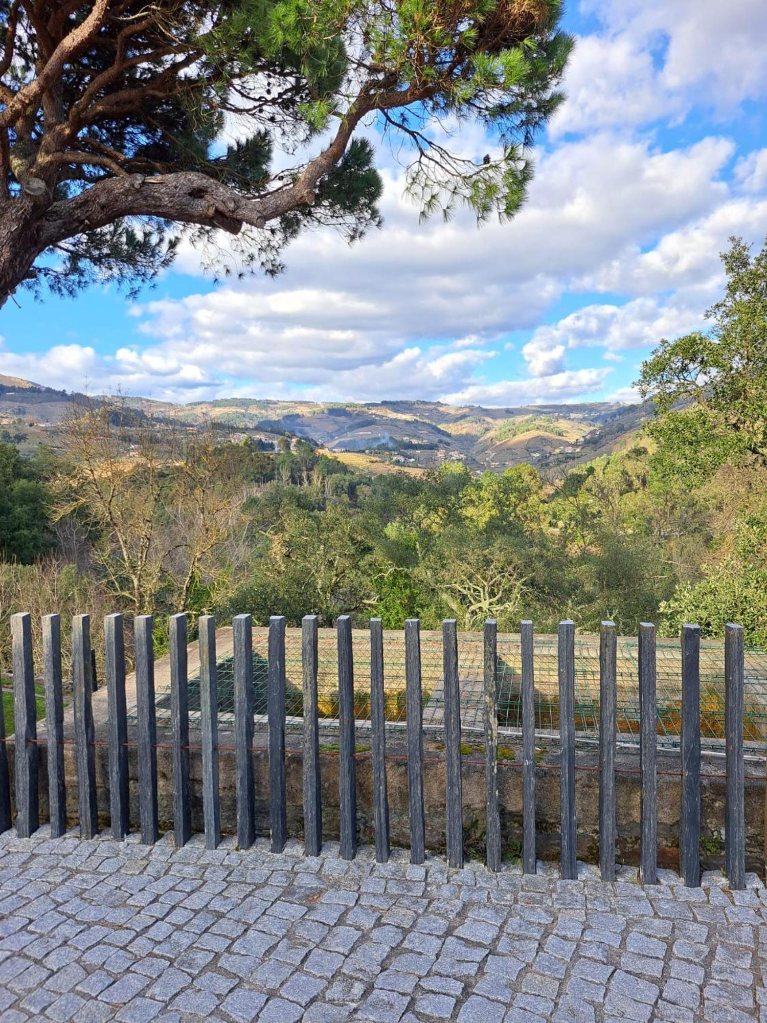 Quinta Da Portelada 페소다레과 외부 사진