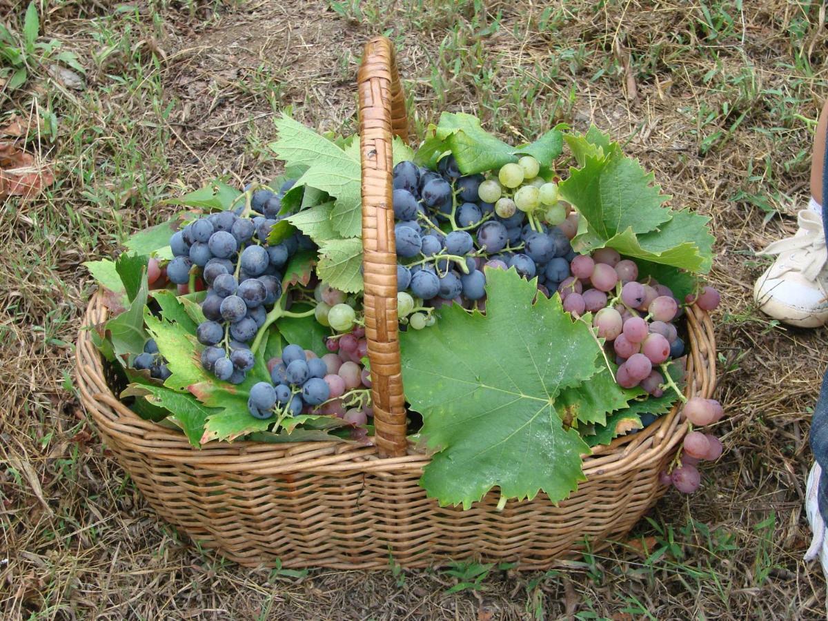 Quinta Da Portelada 페소다레과 외부 사진