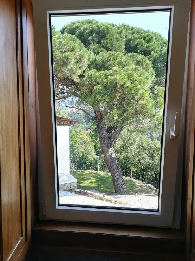 Quinta Da Portelada 페소다레과 외부 사진