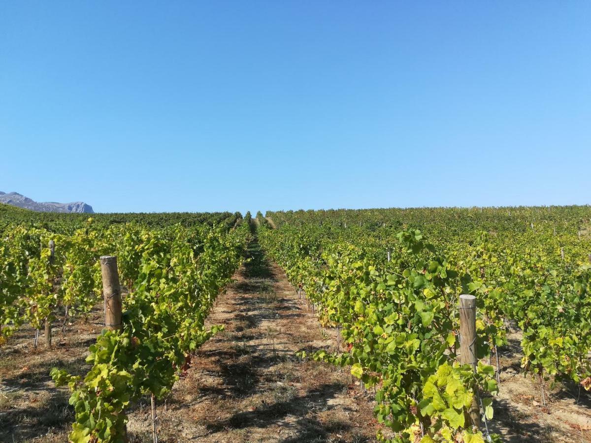 Quinta Da Portelada 페소다레과 외부 사진